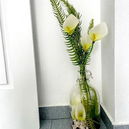 Apartament Valverdeapart Madalena (Azores)