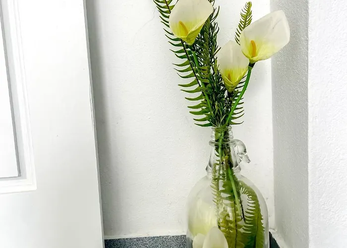 アパート Valverdeapart マダレナ